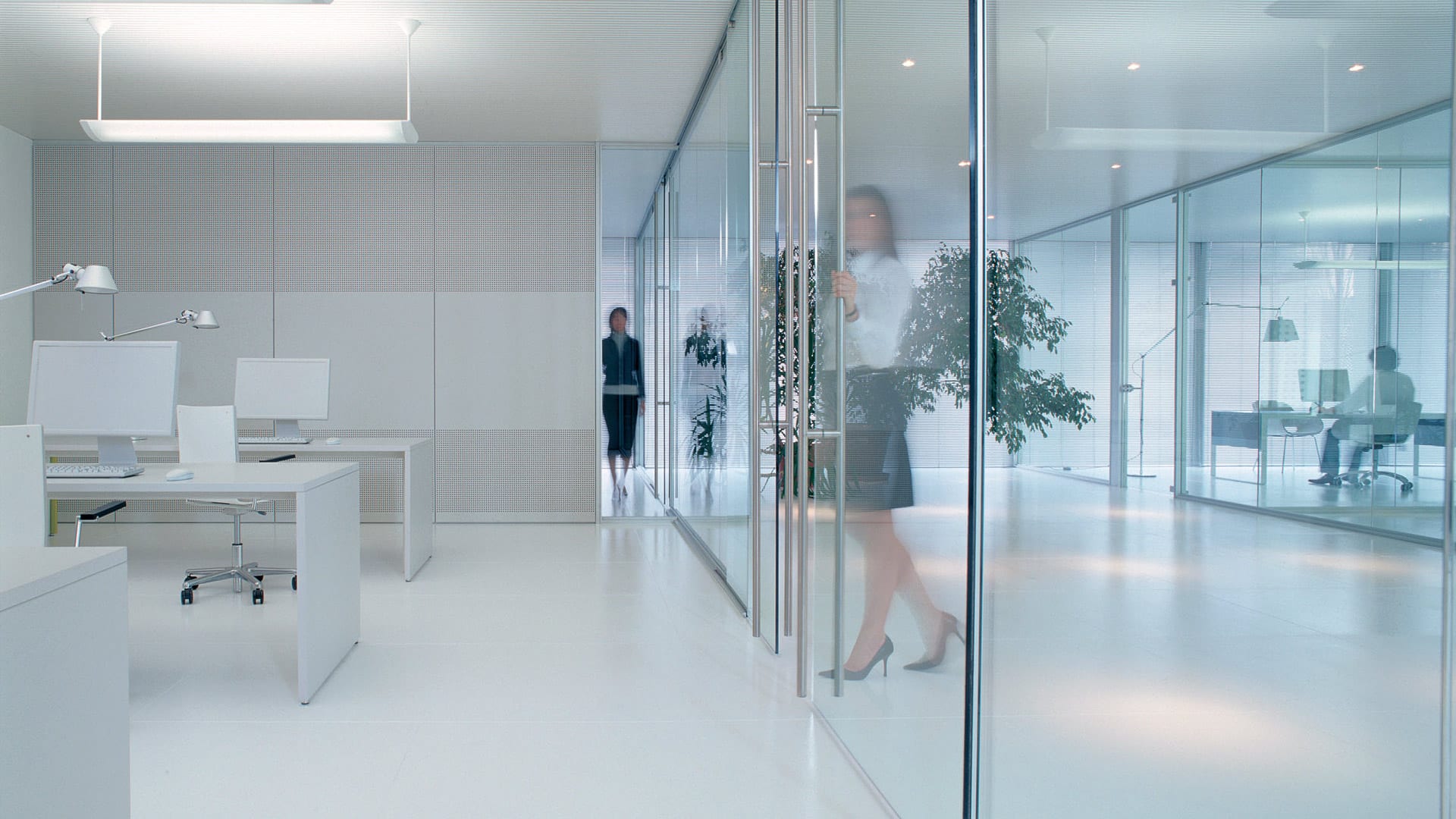 Glass doors and partitions 1