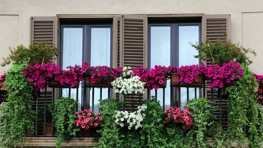 PVC windows, aluminum systems and profiles for doors and windows 5
