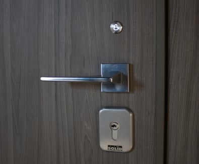 Armored steel doors for a house 36