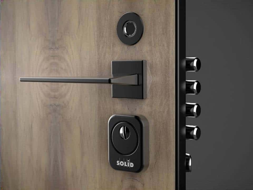 Armored steel doors for a house 40